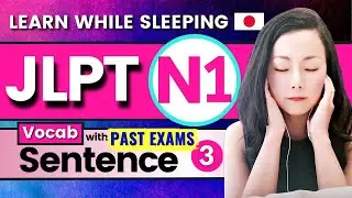 N1 Vocabulary with Sentence 