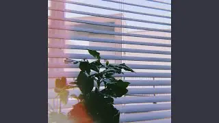 little plant (feat. khadisma)