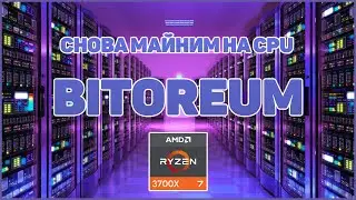 Майнинг BITOREUM(BTRM) на процессоре AMD Ryzen 7 3700x