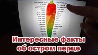 Острый перец. Интересные факты