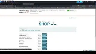 SQL injection UNION attack, determining the number of columns returned by the query