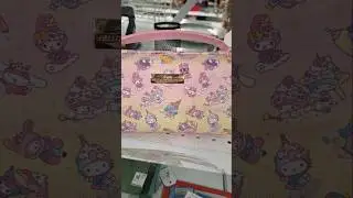 Hello Kitty Nintendo switch case collectible item 