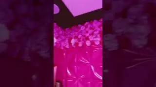 Pink pink bathroom in Miami, # shorts