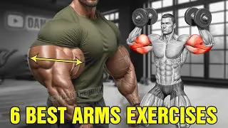6 Fastest Exercises to Get Super Huge Arms