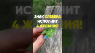 Знак клевера исполнит 4 желания!