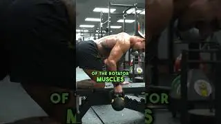 Core & Back Exercise for MMA 