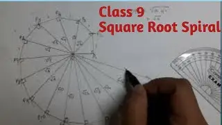 Class 9 - Square Root Spiral/Spiral of Theodorus/ Pythagorean spiral/Number Systems