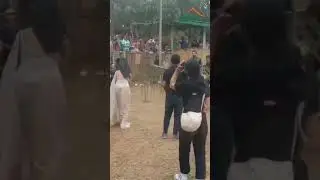 Ketika artis India nyobain permainan tradisional di Kampung Gagot