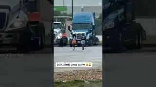 Lot-Lizards Gotta Eat To😂💯 #shorts #semitruck #trucking #viralshorts #trendingshorts
