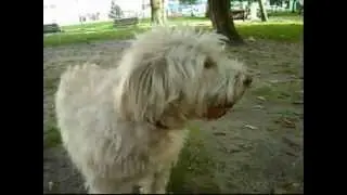 O Parque e a Pantufa