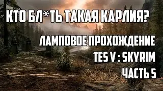 Каприз негодяя [Ламповое прохождение Skyrim] #4
