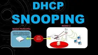DHCP Snooping Mikrotik