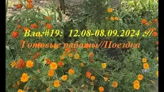Влог#19:  12.08-08.09.24//Готовые работы//Поездка к родителям//Новая работа