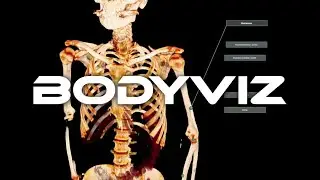 3D Anatomy Learning Software | BodyViz
