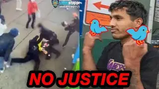 NYC already set them free