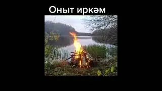 29 августа 2024 г.