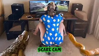BEST SCARE CAM Priceless Reactions 2025😈
