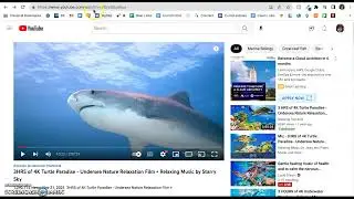 Obtain Correct URL for Videos