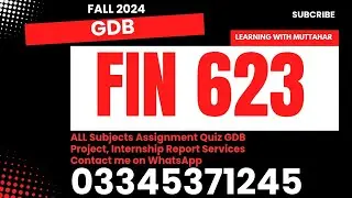 fin 623 GDb Solution fall 2024