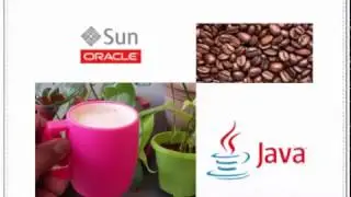 About Java, Sun and Oracle