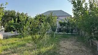 Cənnət kimi bağlı bağçalı 7 sotda əsl həyət evi kupçalı əla təmrili☎️050-521-41-88