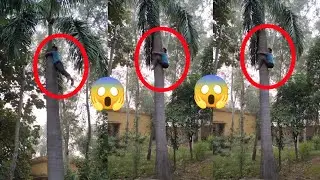इस प्रकार के पेड़ पर चढ़ना है बहुत ही कठीन 😱 देखिए कैसे चढ़ाते हैं इस पेड़ पर ?