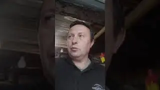 Нужно ли делать прививки от ВГБК(геморогичка)?