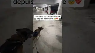 He's been alone for a week 😢 