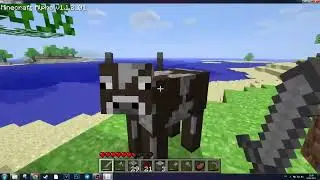9 Alpha v1.1