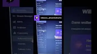 Einstellung vom Creator-Dashboard kurze Einführung. | rebecca_phoenixdrache auf 
