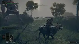 ELDEN RING horse play