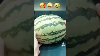Кот 100% хочет в приют