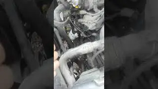 Jetta A4 oil cooler problem.