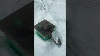 Облёт пчёл не состоялся, ещё рано!