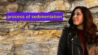 process of sedimentation - formation of process of sedimentation - types of process of sedimentation