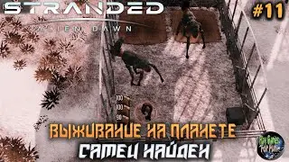 Stranded: Alien Dawn ➤ Самец найден!! Сложность Безумие! #11
