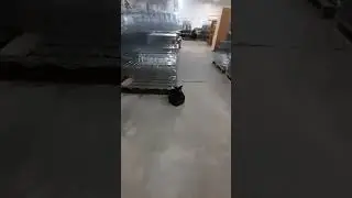 Когда зрение минус 2 Пранк #пранк #заяц #зрение #елки