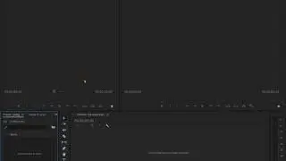 Premiere Pro: Low-Level Exception QUICK Fix 2020