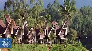 Survivors of Planet Earth. The Reverse of Life (FULL DOCUMENTARY)