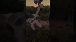 Этот парень был из тех кто просто любит жизнь...