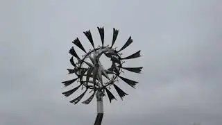 Ветряной василёк. Минск. Белоруссия (Minsk. Belorussia. 17.03.2019)