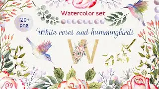 Watercolor  set  with white roses and red edging and hummingbird birds