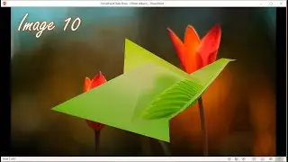 How to Make Animated Picture Slide Show, Photo Album with music In PowerPoint