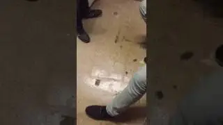 Мини блог новая студия или как я не умею пилить (новый сьтьюи)