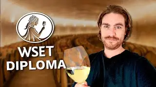 WSET: How to survive wine education?