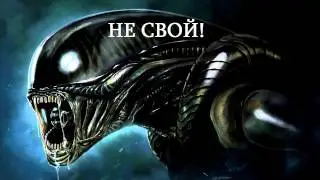 русские слова в иностранных песнях 3