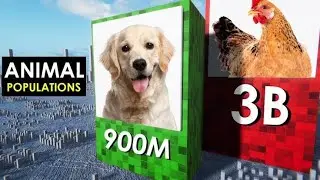 Animal Population 3D comparison.