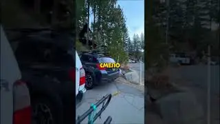 МЕДВЕДЬ в Машине!😱 