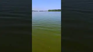 Днепр🤢КТО разлил ЗЕЛЁНКУ 🧟