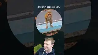 Почти Уговорил